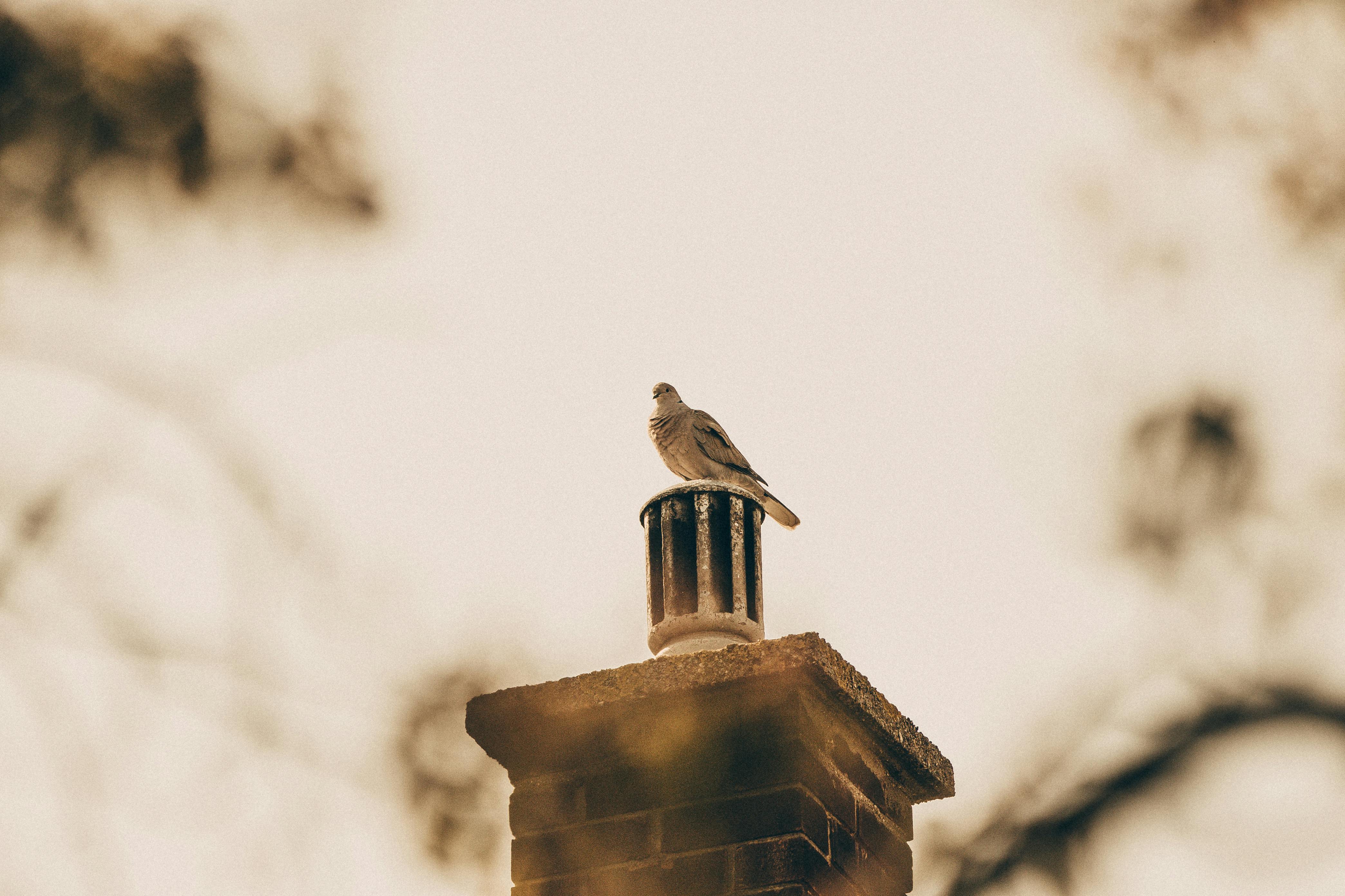 Expert Chimney Cap Installation in Dolton, Illinois